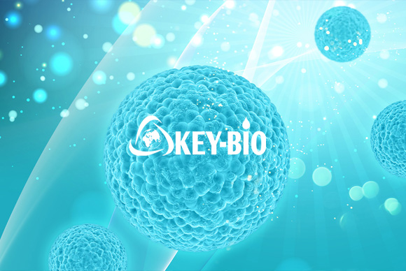 科跃中楷生物科技网站设计 